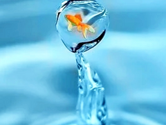 2. 다짜고짜, 좋아해