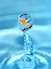 물방울, drip-drip