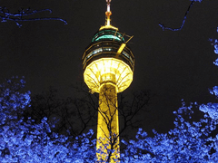 Love is the moment 7