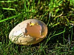 안녕 아가야, 잘 부탁해.