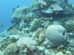 파도가 부르는 소리를 따라서 01