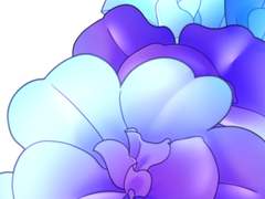 겹 칼리브라코아 브러쉬