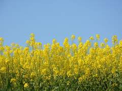 [준호열] One Love