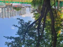 스트레스 받는 것도 버거운 요즈음