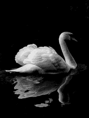 다정한 너라서 그 밤이 달았나보다