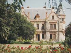 V가 사는 신기루