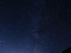 처음 만나본 밤