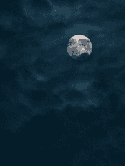 가면라이더 리바이스