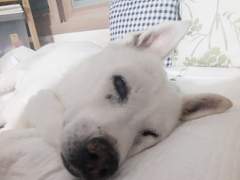 220610~220621 기록용