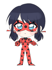 레이디버그 리퀘