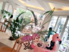 조슈프라 투명포카 도안