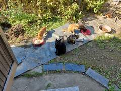 밥 같이 먹었으면...