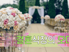 [가든오더] ✨결혼식장의 오더 / 팬 메이드 시나리오