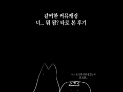 니 뭐 되나 타로 후기