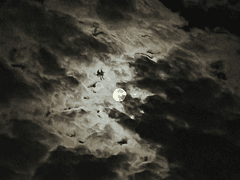 곧 업로드 예정입니다.