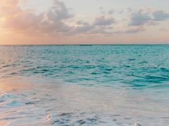 [카게야마 드림]바닷가, 재회完