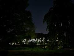 여름밤과 고백의 상관 관계