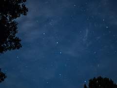 [시레이/쌍둥이공주] 여름밤