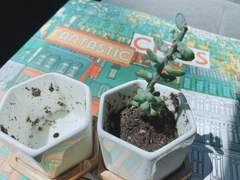 생존자의 이야기