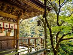 (닌자고)기억의 상실이 주는 잠깐의 여유