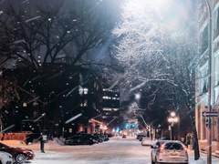 찬 계절과 어깨, 이국의 언어