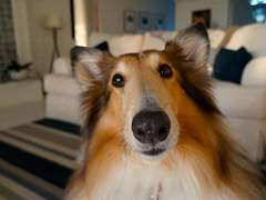 내가 예민한가요? 라는 질문 이후에 일어나는 일