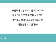 도리벤 드림 모음 15