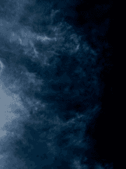 레이디 메티스의 초상