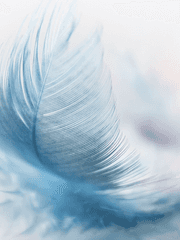 [전정국] 순결할진 몰라도, 순수하진 않은데.