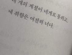 사랑인데요. 사랑은 적당히 할 수 없어요.