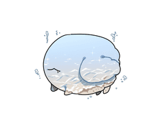 11. 바닷가 윙펫