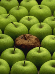 Rotten apple