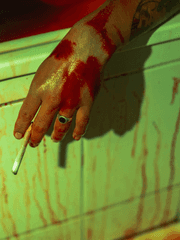 얼레벌레 애기의삶