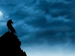 [망기무선] 낭자야심(狼子野心) 中