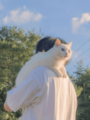 너에게, 1초 전.