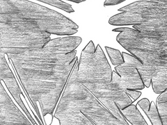 sparkler(스파클러)