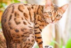 {"-warrior_hope-"}고요한 시간