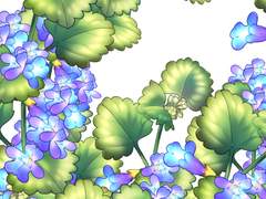 긴 병꽃풀 브러쉬