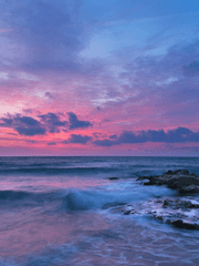 [에루리] Das Königreich der Paradis