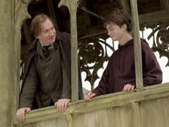 편지는 오랜만이네요, 루핀 교수님