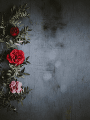 [단편]우리들의 세상은 어디로(보쿠아카)