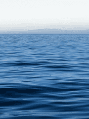 도리벤 즐겁다!!