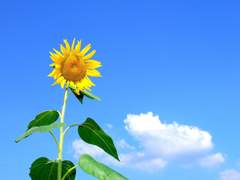 [전오수] 썰 정리 (매뉴패치 위주)