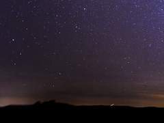 가리지 못하여 진실을 마주한 검은 뱀