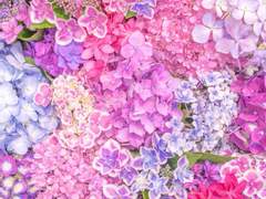 그해 여름, 그 바닷가...