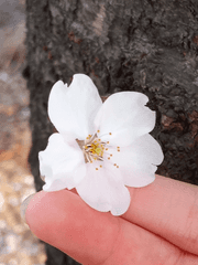 도서관 구석 서랍