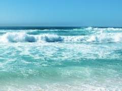 초고를 시작했다면/이도은