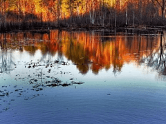 야생동물 보호구역 (12)