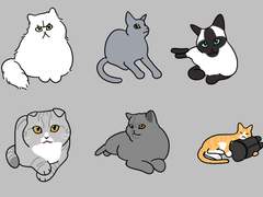 일러스트 백업.