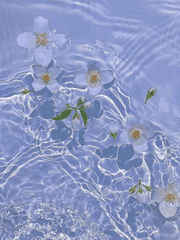 로맨틱 시트콤은 해피엔딩